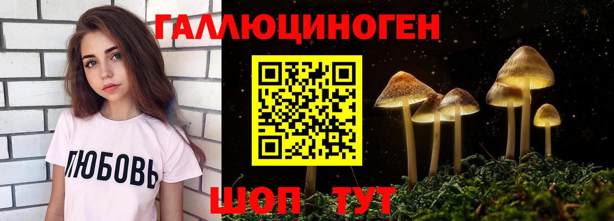 Галлюциногенные грибы мицелий  Псилоцибиновые грибы GOLDEN TEACHER  Вход с VPN  где можно купить наркотик  Элиста 