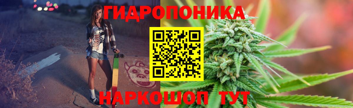 Канабис сатива Элиста